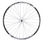 rw29er frente - 01